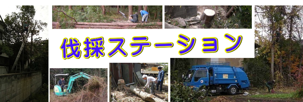 御代田町の庭木伐採、立木枝落し、草刈りを承ります。
